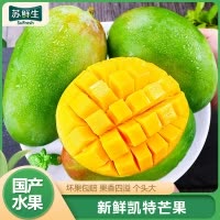 [苏鲜生]精选攀枝花凯特芒 净重3斤 中果 单果250g左右 当季新鲜 热带水果