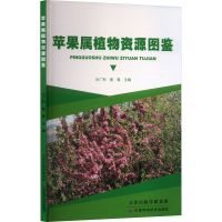 正版新书]苹果属植物资源图鉴沙广利,黄粤 编9787574223110