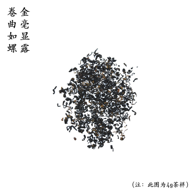 茶叶[伍刻]祁门香螺 花蜜香花果香 2024年传统手工揉搓 200g 2袋装