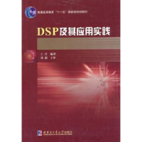 音像DSP及其应用实践王岩编著