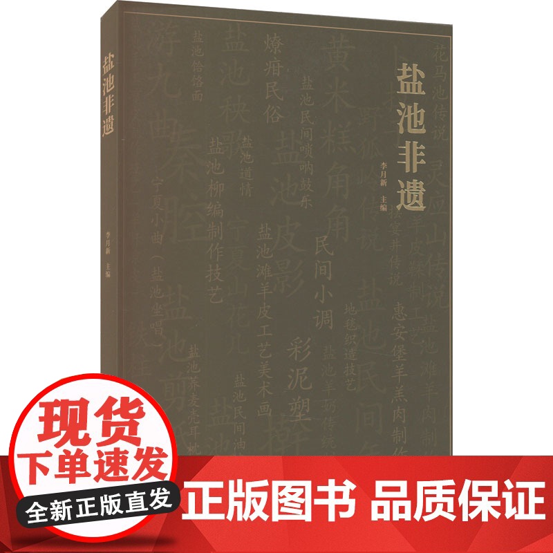 盐池非遗 李月新 编 地域文化 群众文化经管、励志 正版图书籍 阳光出版社