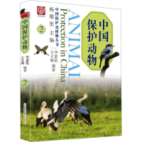 音像中国保护动物 2华惠伦,王义炯,杨雄里 编