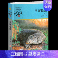 巨蜥母亲 [正版]五只小狼沈石溪小学四年级五年级全集全套书浙江少年儿童出版社非注音版完整版动物小说大王品藏书系小学生课外