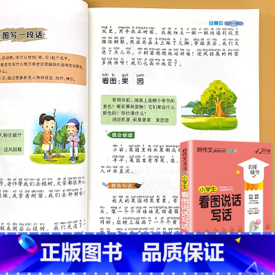 小学生 看图说话写话(1-2年级) 小学通用 [正版]小学生一二三四五六年级同步作文起步看图写话每日一练日记周记好词好句