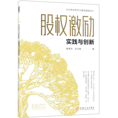 股权激励(实践与创新)