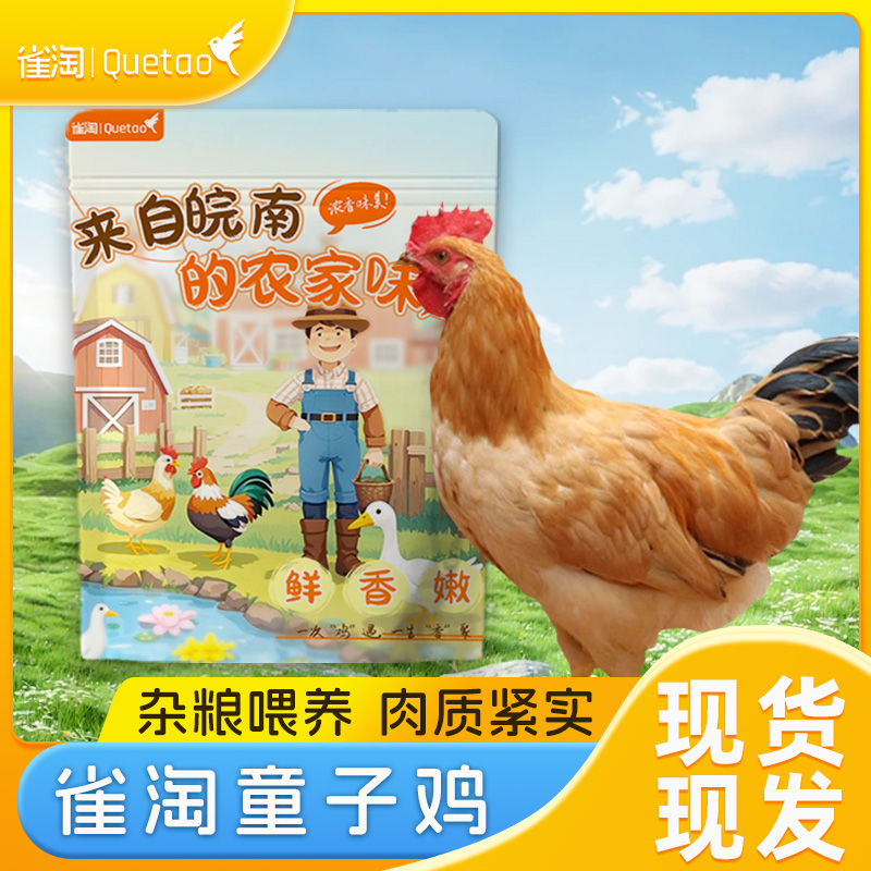 雀淘 皖南童子鸡650克/只 2只装 农家慢养走地鸡新鲜现杀整只顺丰发货