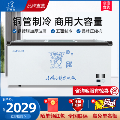 小鸭(xiaoya)冷柜商用岛柜大容量冷藏冷冻冰柜雪糕卧式冰箱超市玻璃展示柜BXS-2000BX