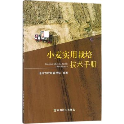 正版新书]小麦实用栽培技术手册沧州市农产管理站9787109232853