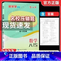 数学压轴题 八年级下 [正版]2023新勤学早名校压轴题八年级下册数学人教版8下 学八斗压轴突破训练