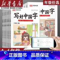语文写好中国字 六年级下 [正版]抖音同款小学生写好中国字一年级二年级三年级四年级五年级六年级上册下册同步练字帖课课练正
