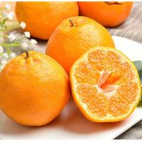 [熊猫鸟]四川新鲜耙耙柑 净重3斤 特大果 单果80mm+ 产地精选 甜美多汁 坏果包赔