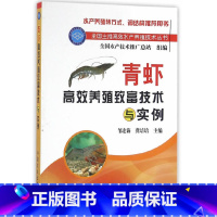 [正版]青虾养殖致富技术与实例 邹宏海 河虾淡水虾人工繁育技术大全青虾疾病防治 青虾养殖一本通大虾青虾养殖书籍