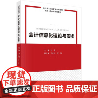 会计信息化理论与实务