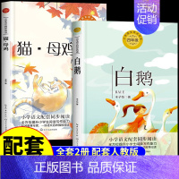 [全套2册]白鹅+猫·母鸡 [正版]全套2册 白鹅丰子恺和猫母鸡老舍 四年级下册阅读课外书必读的书籍经典语文书目小学生丰