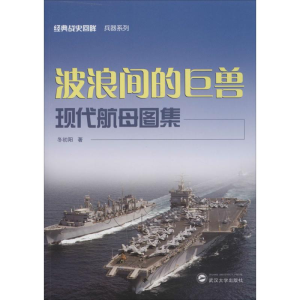 醉染图书波浪间的巨兽9787307163829
