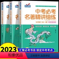[7-9年级全3册]中考必考名著精讲细练 [正版]中考必考名著精讲细练 七八九年级初中考点精练一点通语文名著导读 全一册