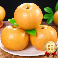 彩箱装[熊猫鸟]新鲜山东秋月梨 净重4.5斤单果250g+ 新鲜当季水果 现摘现发 香甜可口