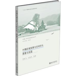 村镇区域发展与空间优化:探索与实践