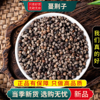 甄选蔓荆子100克新货白背木耳白背草干货另售连翘川芎9260