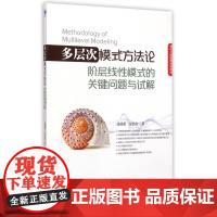 多层次模式方法论阶层线性模式的关键问题与试解(现代工商管