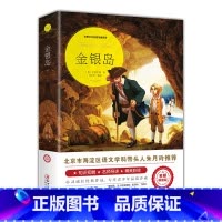 [正版]金银岛精美插图版全译本无删减语文 经典文学名著书适合小学生孩子阅读的一二三四年级课外书阅读经典带插画书籍
