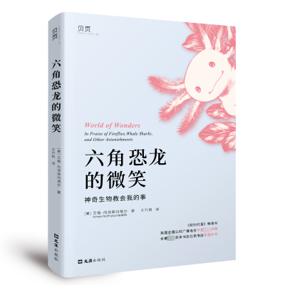 正版新书]六角恐龙的微笑(美)艾梅·内茨库玛塔尔 著 王巧俐 译97