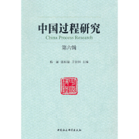 音像《中国过程研究》第六辑杨丽 温恒福 王治河 主编