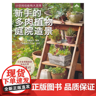 新手的多肉植物庭院造景(轻松造园记系列)