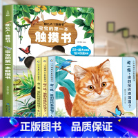 触摸书合集[全4册] [正版]宝宝的第一本触摸书 婴儿书早教益智玩具0到2-3岁绘本1岁半立体书地板书本撕不烂立体儿童书