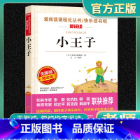 小王子书 老师推荐正版 [正版]语文 必读丛书 小王子 原著 年轻人小学生三四五六年级初中七八九年级青少年儿童必读课外