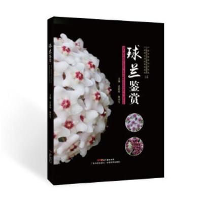 球兰鉴赏张静峰