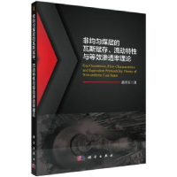 音像非均匀煤层的瓦斯赋存、流动与等渗透率理论赵洪宝
