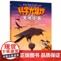 天才小鸟:乌鸦