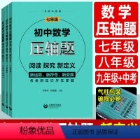 数学 七年级/初中一年级 [正版]初中数学压轴题 七八九年级练习题初中数学思维训练新运算符号图形函数提升解题技巧辅导资料