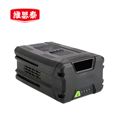 维思泰 锂电电池可充电锂电池包 82V5Ah 个4