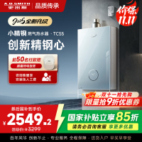 史密斯佳尼特[小精钢TCS5]13升精钢燃气热水器 国家补贴 JSQ26-TCS5 安全守护 持久恒温大水量 新品