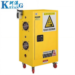 珂洋 防爆充电柜 15加仑 台