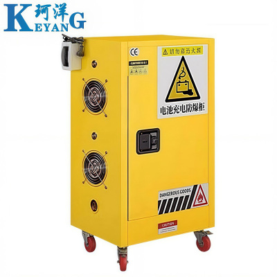 珂洋 防爆充电柜 15加仑 台