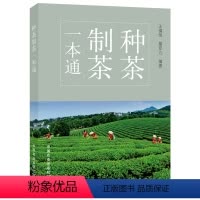 [正版]种茶制茶一本通 茶树栽培种植技术茶树品种识别茶叶制造工艺茶叶质量感官检验茶叶种植产业科普百科图书籍