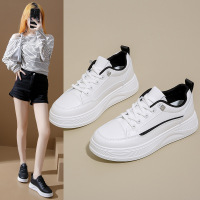 小白鞋子女秋季新款韩版ins女学生休闲潮流百搭女鞋街拍