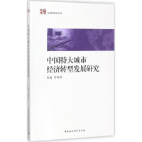 音像中国特大城市经济转型发展研究黄南 等 著