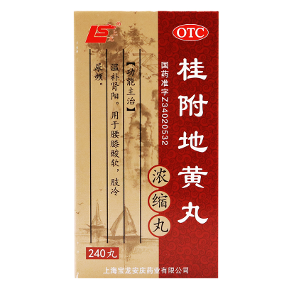 上龙桂附地黄丸240丸浓缩丸