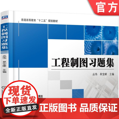 正版 工程制图习题集 丛伟 9787111519232 机械工业出版社 教材