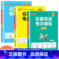 [7-9年级全套3册]名著导读考点精练 初中通用 [正版]2025版绿卡名著导读考点精练七八九年级初中生必读名著导读与考