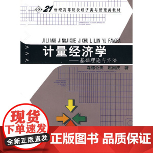 计量经济学——基础理论与方法