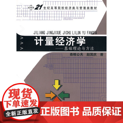 计量经济学——基础理论与方法