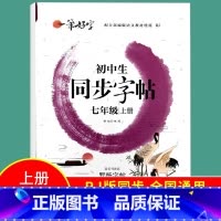 国一上册 小学通用 [正版]小学生练字帖同步字帖人教版语文一 二 三年级 四年级 五 六 国一上册下册罗扬字帖每日一练一