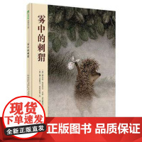 正版 雾中的刺猬 精装硬壳绘本 魔法象图画书王国系列 童话王国 少儿课外阅读书籍 睡前亲子读物 广西师范大学出版社