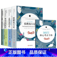 六年级下册推荐阅读 [正版]中小学课外阅读1-2-3三4四5五6六年级上下册必读快乐读书吧书籍四大名著稻草人安徒生格林童