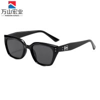 万山宏业 偏光太阳镜 WG029Q/个